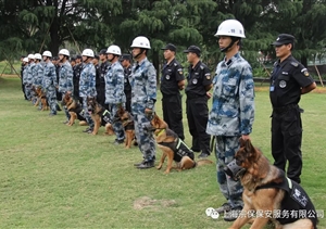 江蘇宿遷警方推“共享保安”模式，可防性案件下降21%